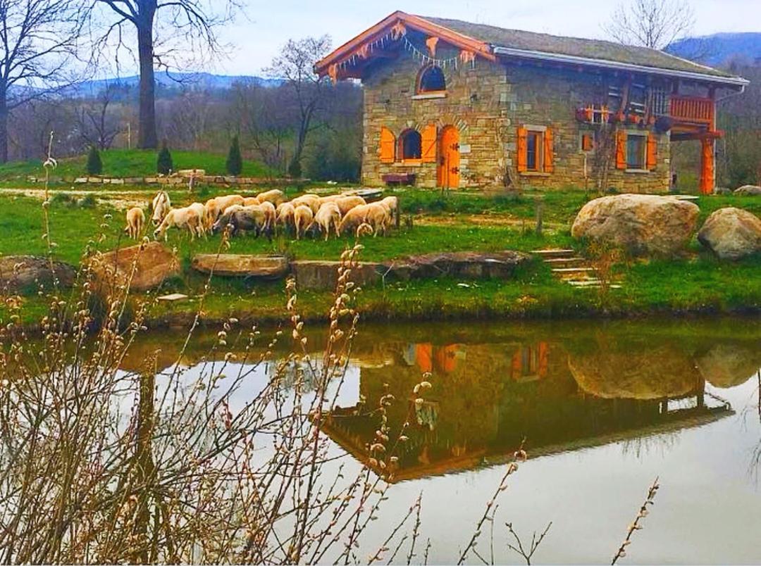 Deseşti Cabana Casa De Piatra, De La Mara מראה חיצוני תמונה
